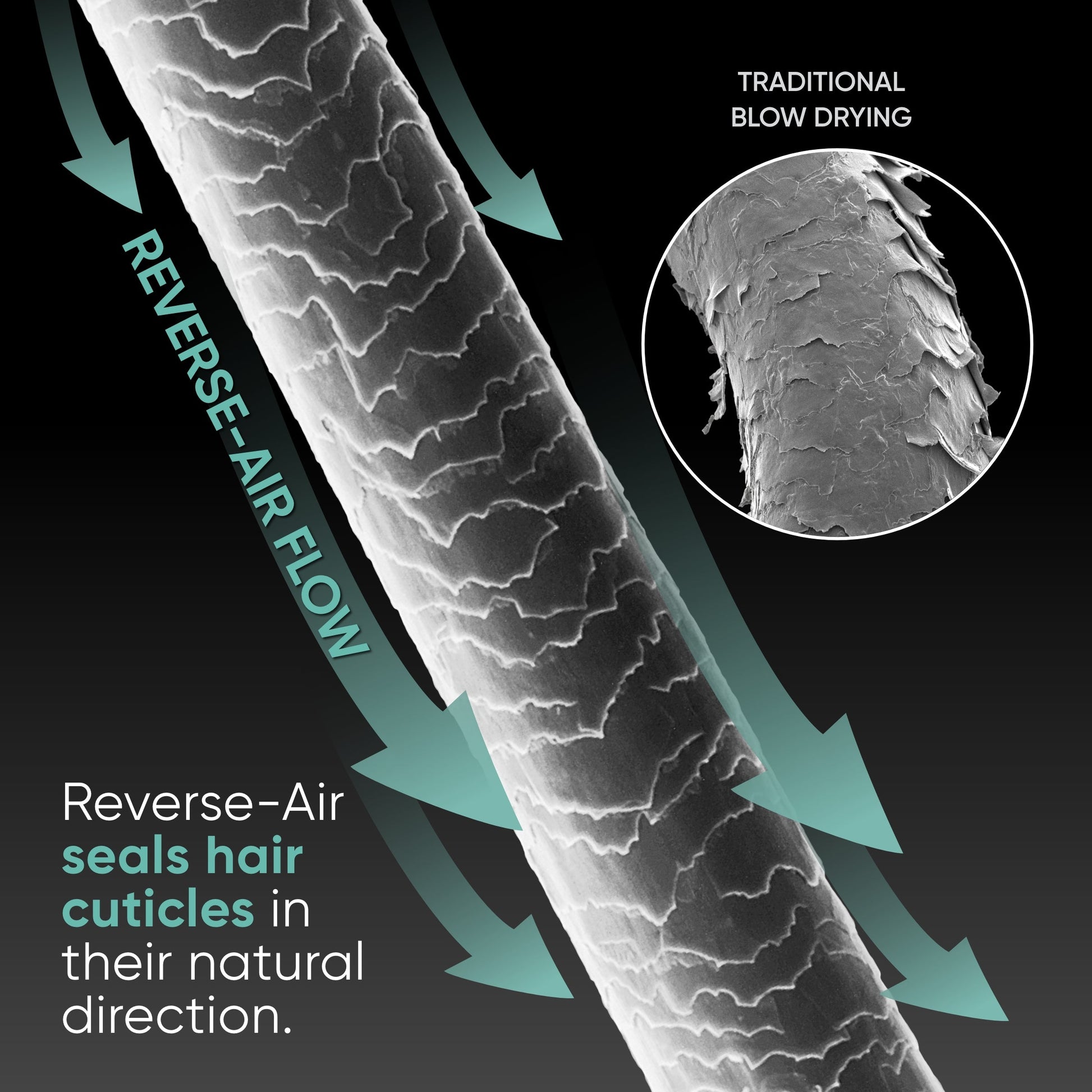 Image showing hair strand and cuticle with directional arrows depicting the air flow of the RevAir. Reverse-Air seals hair cuticles in their natural direction vs traditional blow drying.